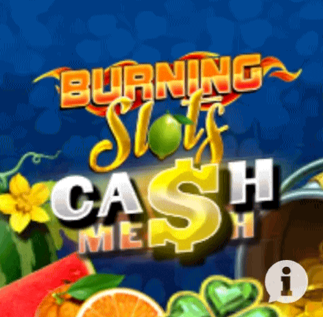 Play Burning Slots in Flex Bet Casino